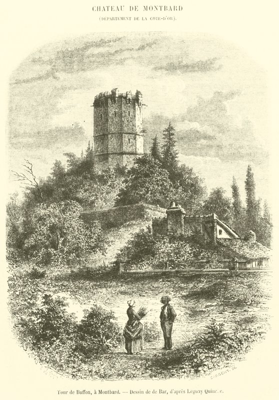 Buffon Tower, w Montbard (rycina) autorstwa French School