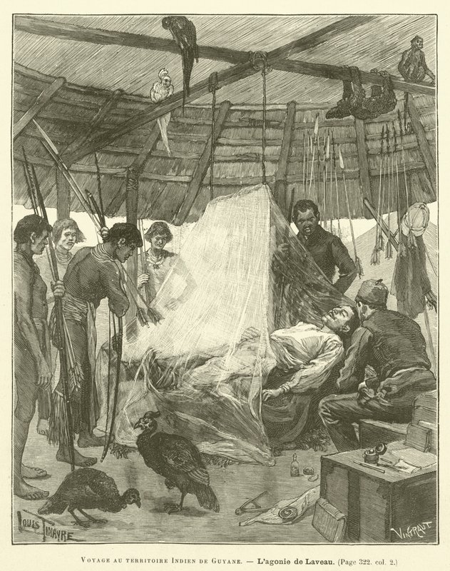 Podróż do indyjskiego terytorium Gujany (grafika) autorstwa French School