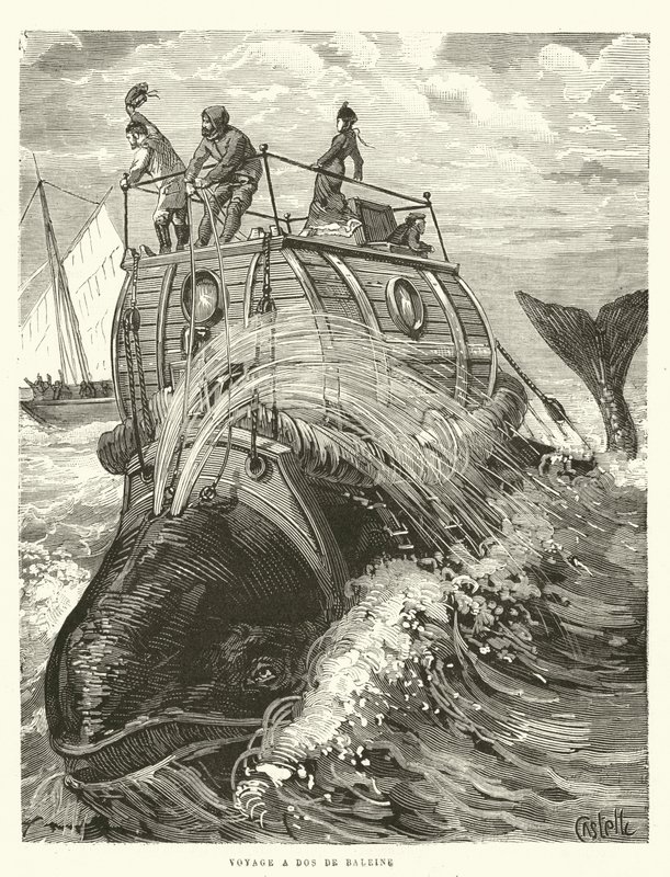 Podróż do Dos de Baleine (rycina) autorstwa French School