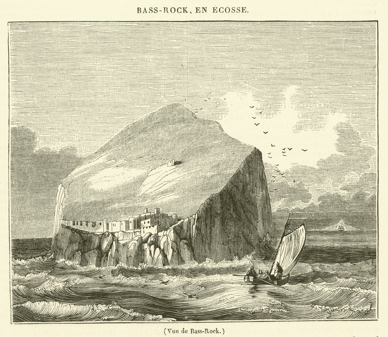 Vue de Bass-Rock (grawerowanie) autorstwa French School