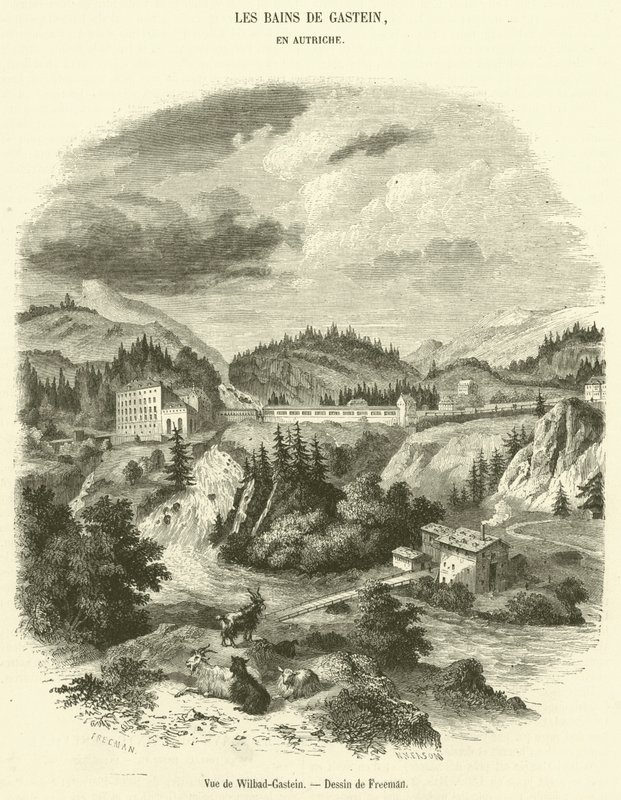 Widok Wilbad-Gastein (rycina) autorstwa French School