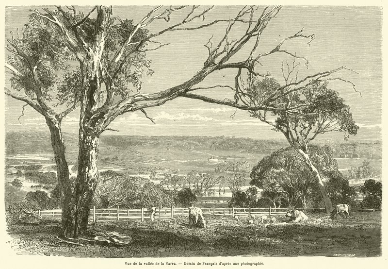 Widok na dolinę Yarra (rycina) autorstwa French School