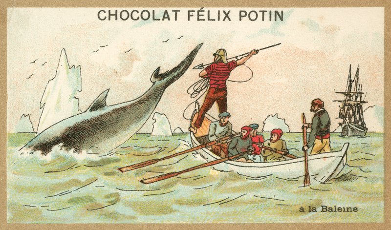 Wielorybnictwo (chromolitho) autorstwa French School