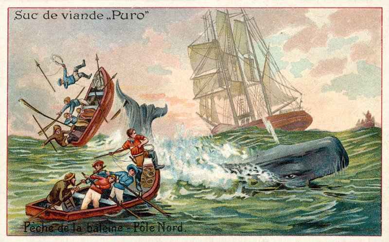 Wielorybnictwo w Arktyce (chromolitho) autorstwa French School