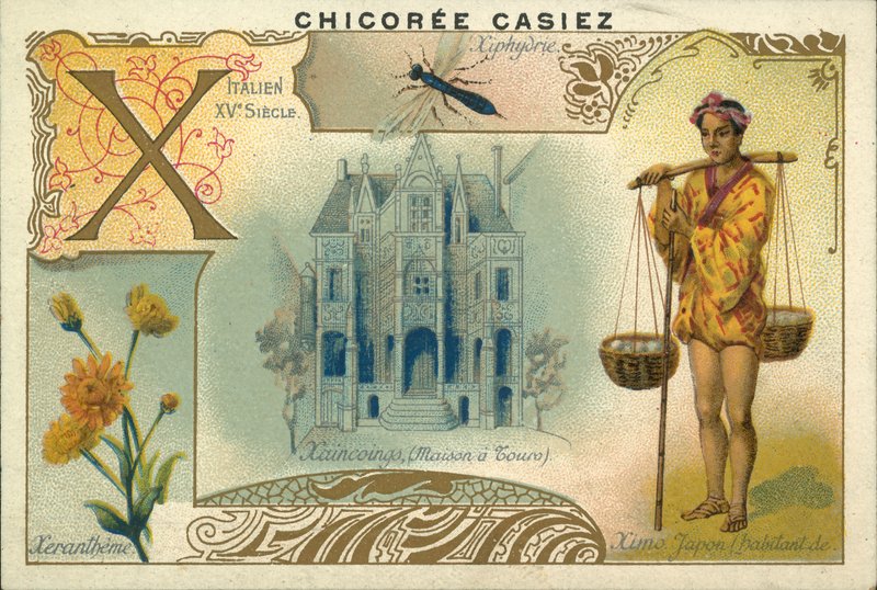 Xeranthemum, Ximo Japanese, House a Tours i osa drzewna (chromolitho) autorstwa French School