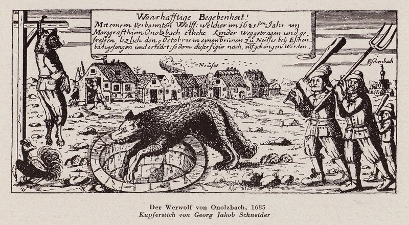 Wilk z Ansbach autorstwa G.J. Schneider