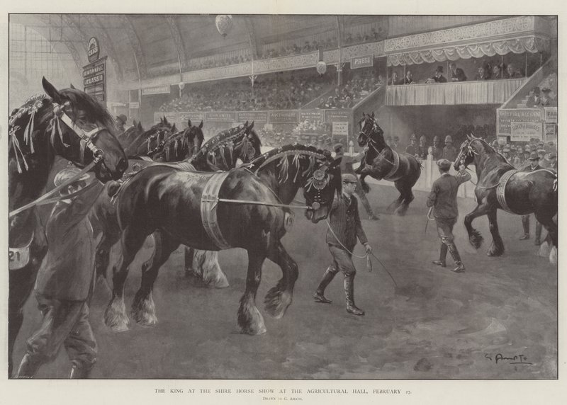 Król na Shire Horse Show w Hali Rolniczej, 27 lutego autorstwa G.S. Amato