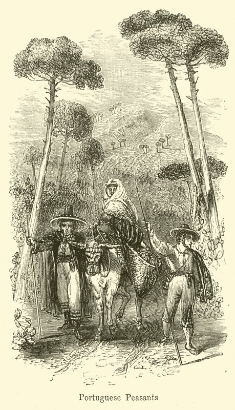 Chłopi portugalscy autorstwa G. F. Sargent