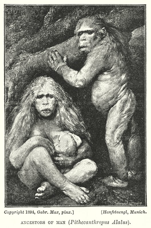Przodkowie człowieka, Pithecanthropus Alalus (lito) autorstwa Gabriel Max