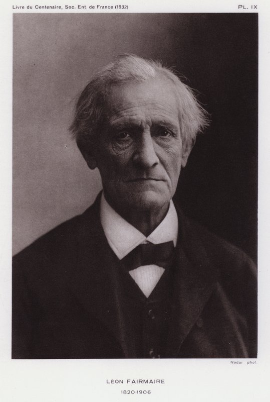 Leon Fairmaire, francuski entomolog (zdjęcie czarno-białe) autorstwa Gaspard Felix Tournachon Nadar