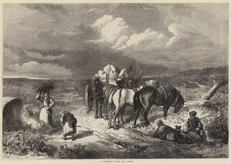 Polana w Nowym Lesie autorstwa George Bouverie Goddard