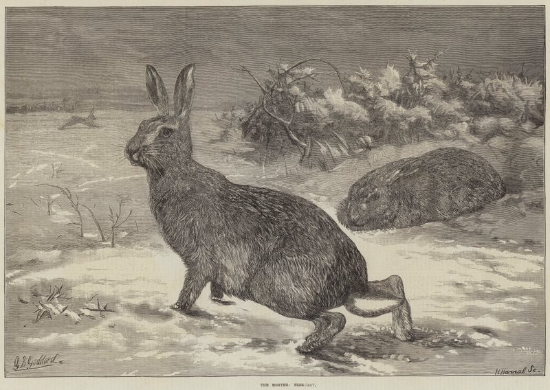 Miesiące, luty autorstwa George Bouverie Goddard