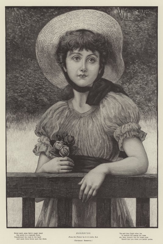 Różyczki autorstwa George Dunlop Leslie