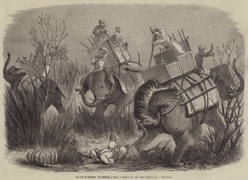 Polowanie na tygrysy w Indiach autorstwa George Francklin Atkinson