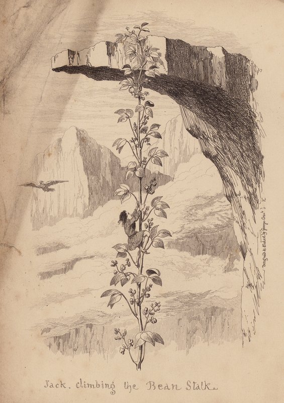 Jaś i łodyga fasoli (rycina) autorstwa George (after) Cruikshank
