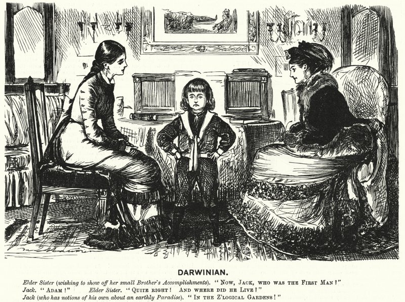 Kreskówka dziurkacza: (grawerowanie) autorstwa George (after) Du Maurier