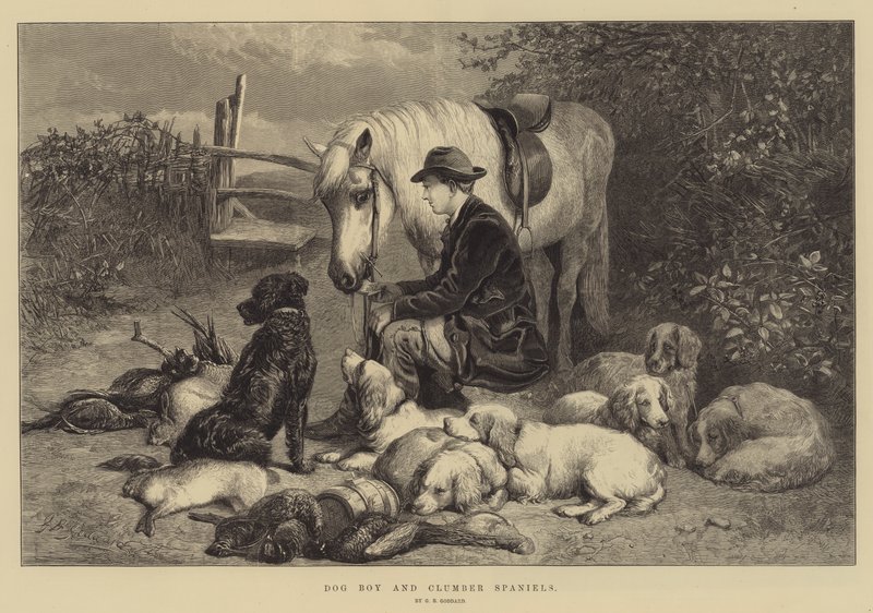 Dog Boy i Clumber Spaniele autorstwa George Bouverie Goddard