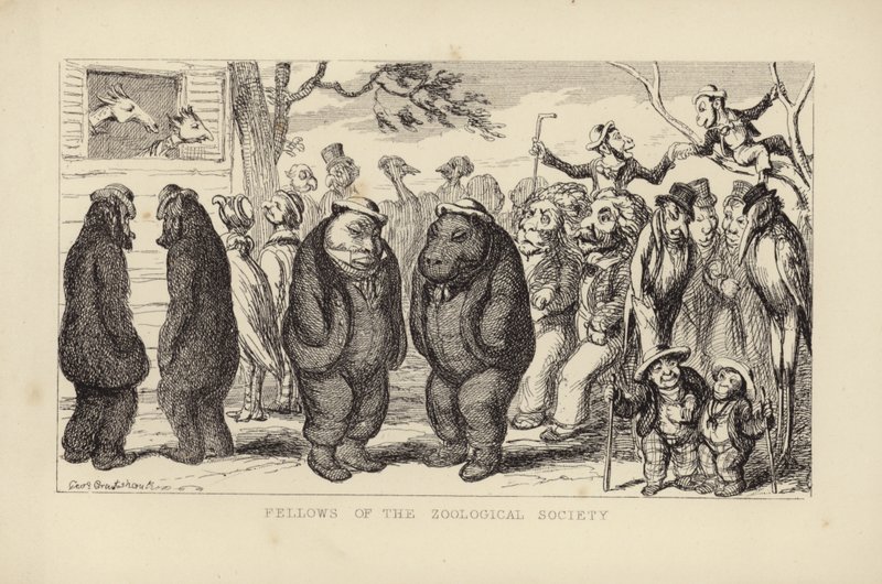 Stypendyści Towarzystwa Zoologicznego autorstwa George Cruikshank