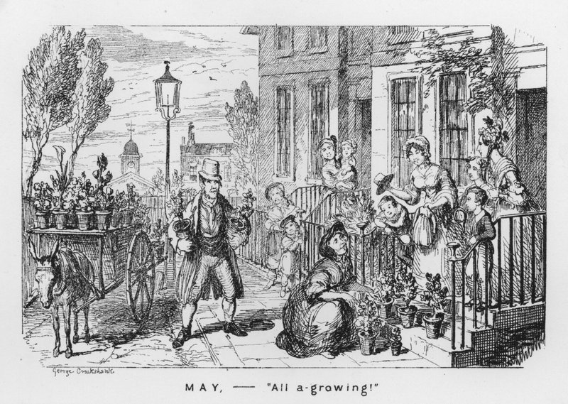 Maj, wszystko rośnie (grawerowanie) autorstwa George Cruikshank