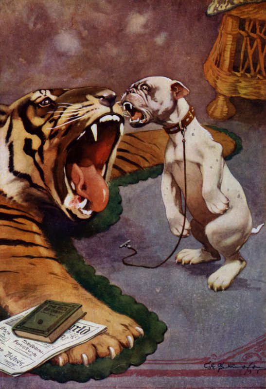 Tiger, Tiger - pies szczekający na dywanik tygrysa (kolor lito) autorstwa George Ernest (after) Studdy