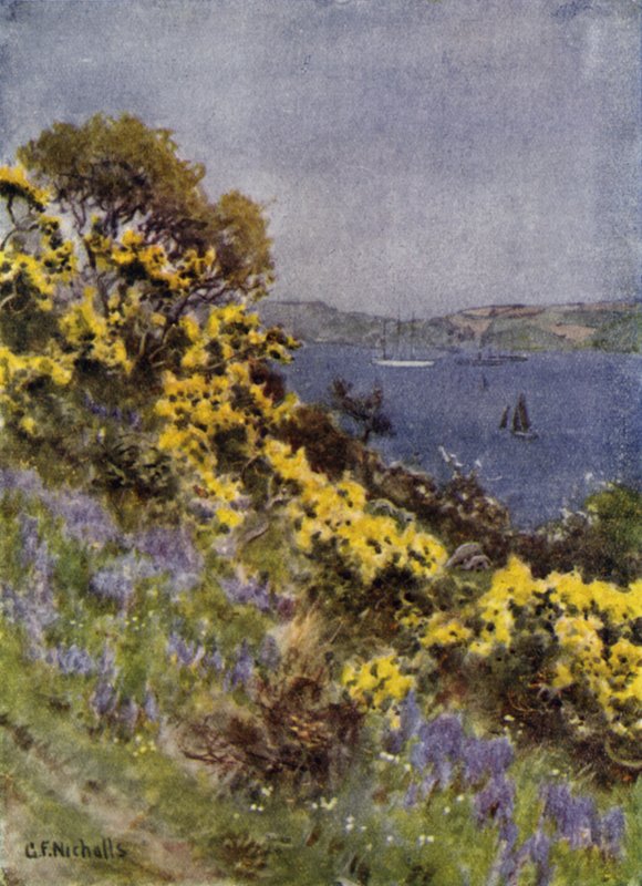 Brzegi Fal, Falmouth autorstwa George Franck Nicholls