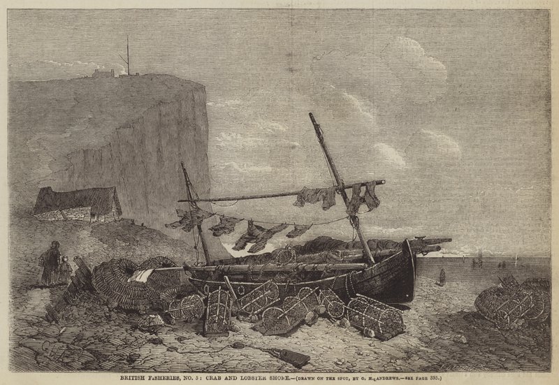 Brytyjskie rybołówstwo, nr 5, brzeg krabów i homarów autorstwa George Henry Andrews