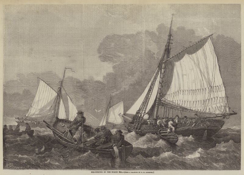 Połowy dorsza na Morzu Północnym autorstwa George Henry Andrews