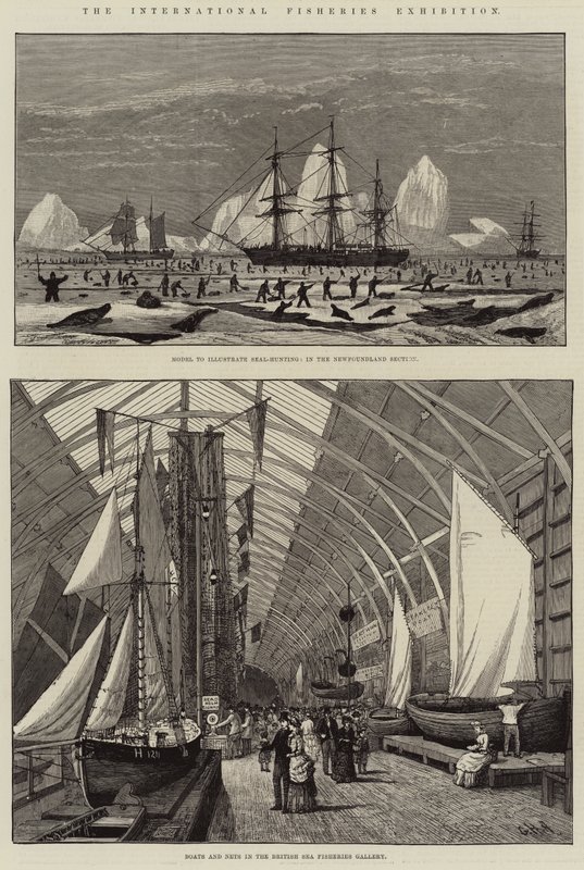 Międzynarodowa Wystawa Rybołówstwa autorstwa George Henry Andrews