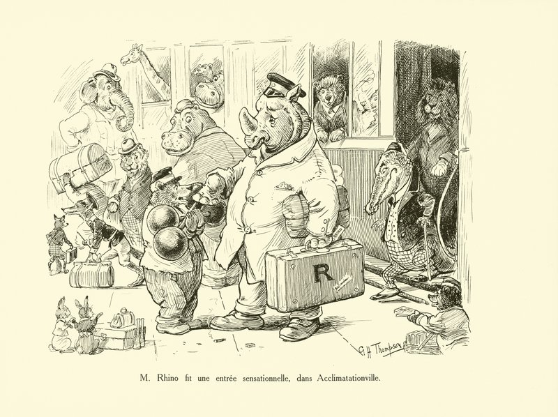 Mr Rhino wykonał sensacyjne wejście w Acclimatationville (litho) autorstwa George Henry Thompson