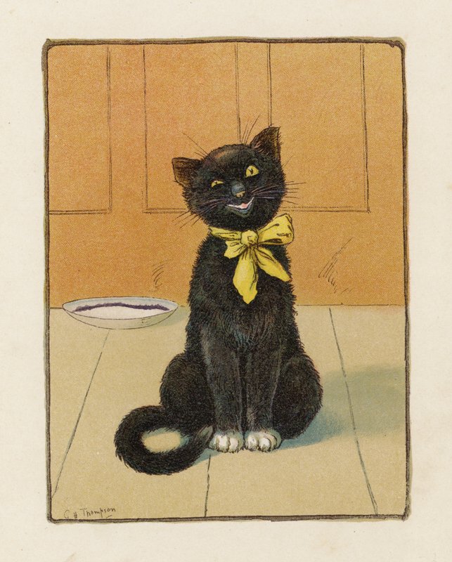 Kot (kolorowa litografia) autorstwa George Henry Thompson