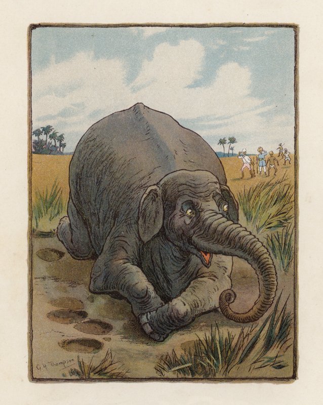 Słoń (kolorowa litografia) autorstwa George Henry Thompson