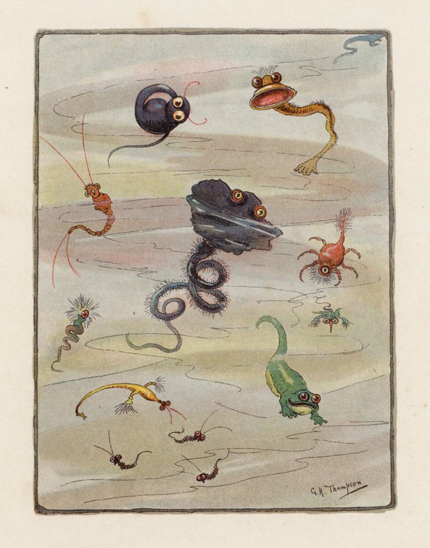 Mikrob (kolorowa litografia) autorstwa George Henry Thompson