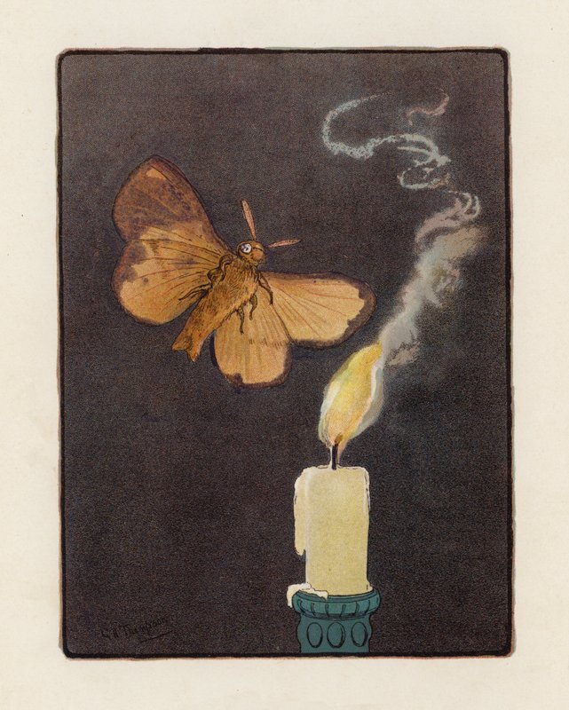Ćma (kolorowa litografia) autorstwa George Henry Thompson