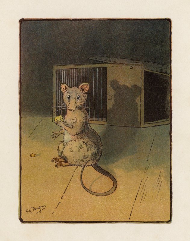 Mysz (kolorowa litografia) autorstwa George Henry Thompson