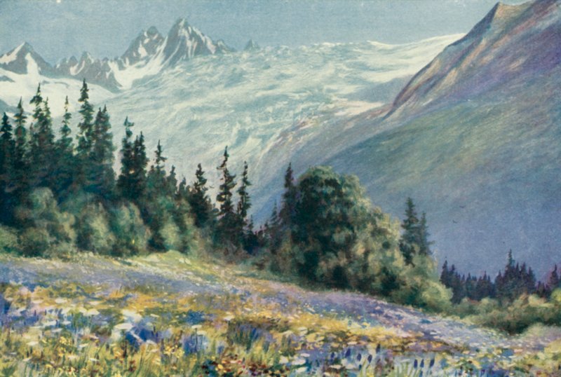 Dzwoneczek i inne lipcowe kwiaty na Col Des Montets (kolor lito) autorstwa George Jackson Flemwell