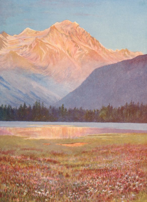 Wieczór wśród różowych pól Bistort w Lac Champex; zachód słońca nad Grand Combin, lipiec (kolorowa litografia) autorstwa George Jackson Flemwell