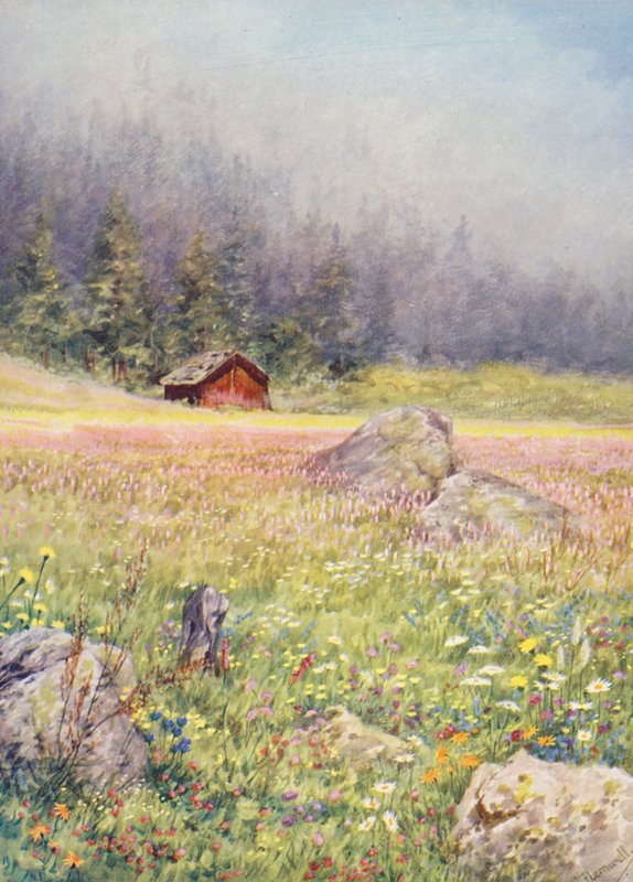 Na początku lipca na polach w Champex (kolorowa litografia) autorstwa George Jackson Flemwell