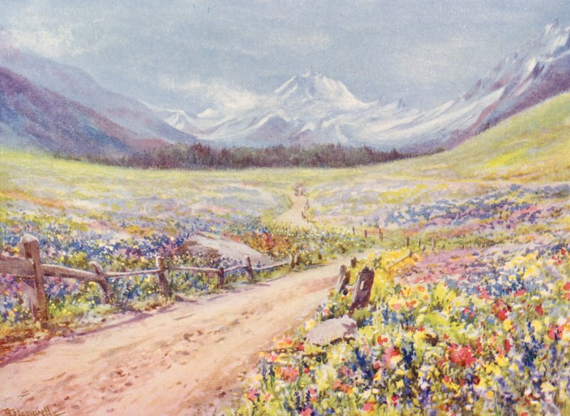 Czerwcowe łąki Salvia, Lychnis itp. w Val Ferret, tuż przed dotarciem do wioski Praz de Fort (kolorowa litografia) autorstwa George Jackson Flemwell