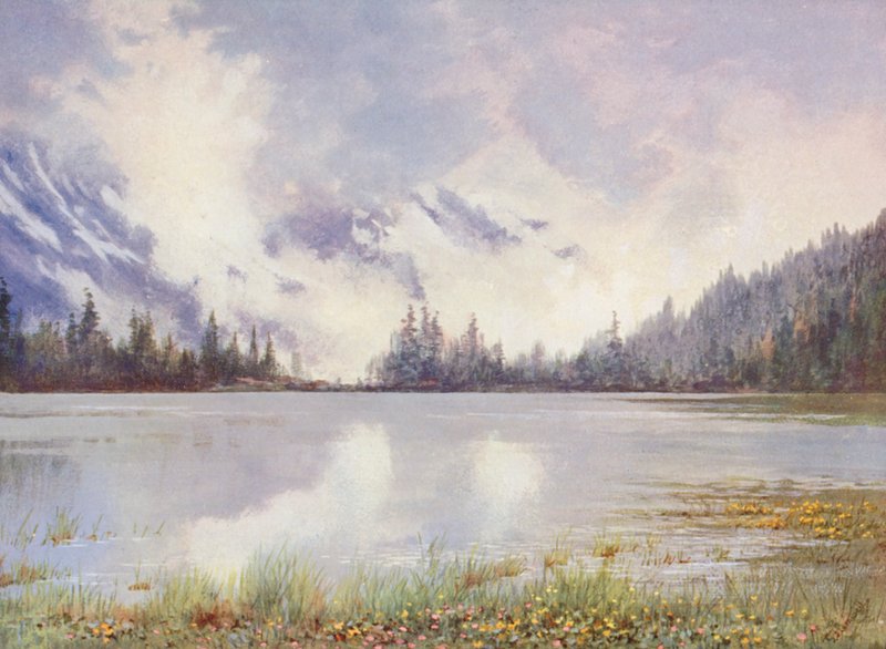 Lac Champex w zachmurzonej krainie pod koniec maja; Caltha palustris i Primula farinosa na brzegu wody (kolorowa litografia) autorstwa George Jackson Flemwell