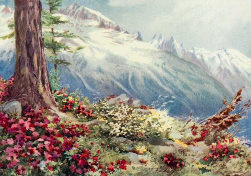 Mont Blanc i Aiguille Du Midi, patrząc z góry Argentiere (kolor lito) autorstwa George Jackson Flemwell