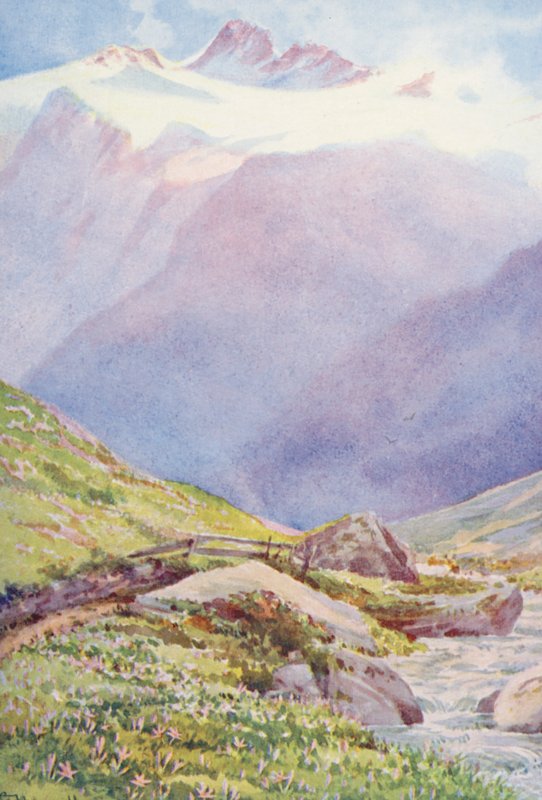 Jesienne krokusy na polach w pobliżu miejscowości Trient, z Aiguille du Tour w tle, wrzesień (kolorowa litografia) autorstwa George Jackson Flemwell