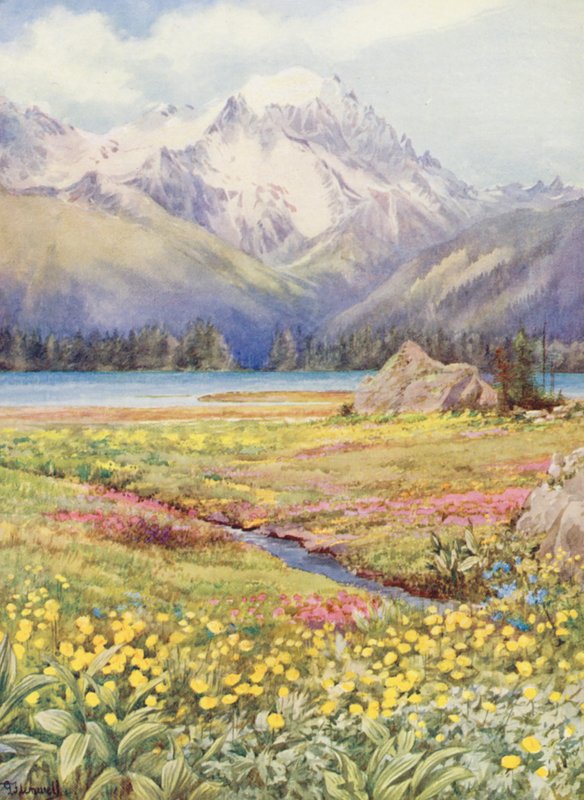 Górne pola Champex na początku czerwca, z Grand Combin w oddali (kolorowa litografia) autorstwa George Jackson Flemwell