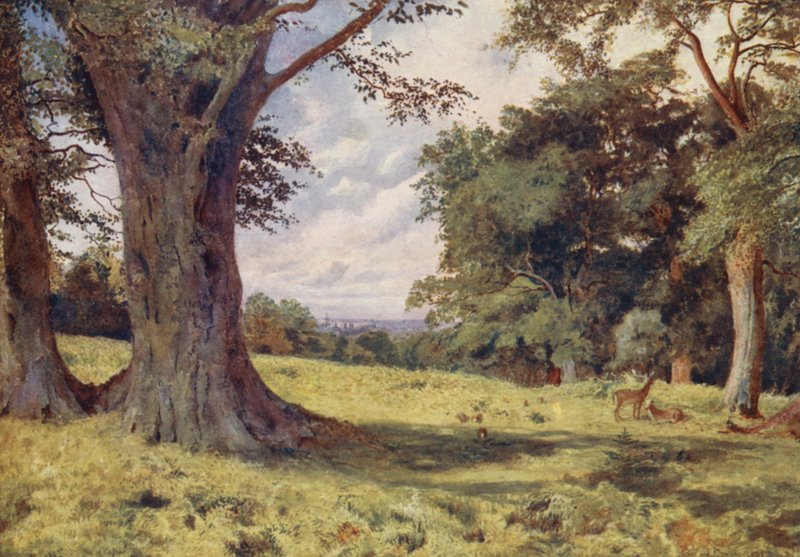 Polana w Windsor Great Park (kolorowa litografia) autorstwa George Moore Henton