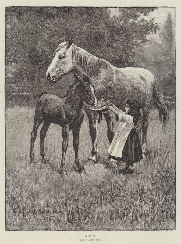 W koniczynie autorstwa George Percy Jacomb Hood