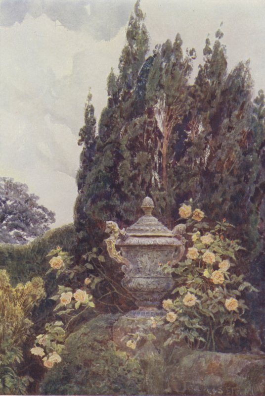 Chwała Dijon, Penshurst autorstwa George Samuel Elgood