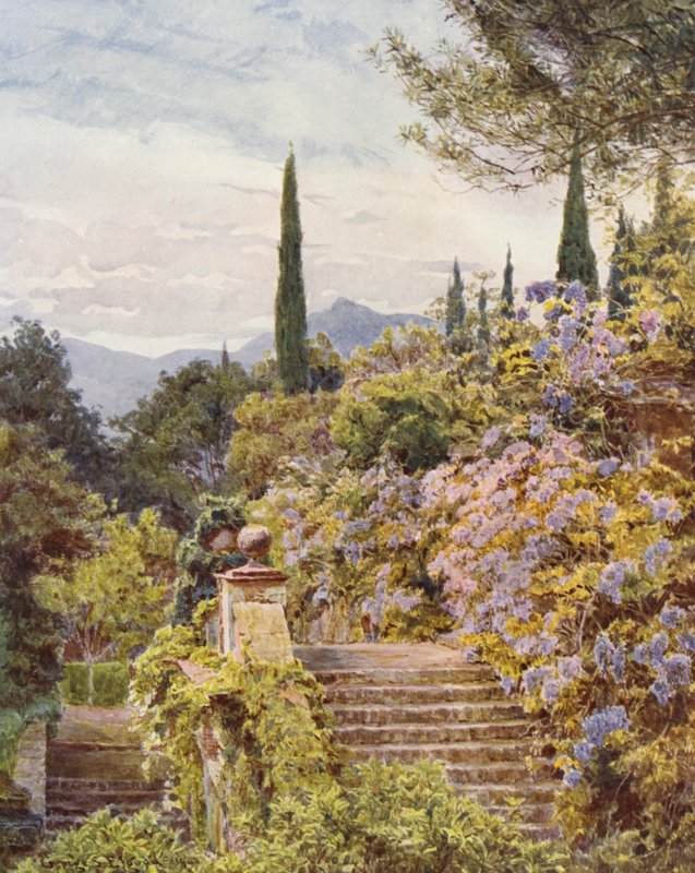 Włoskie ogrody: Wistaria, Villa Cavagnaro (kolorowa litografia) autorstwa George Samuel Elgood