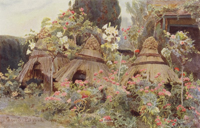 Robótki damskie z Coventrys autorstwa George Samuel Elgood
