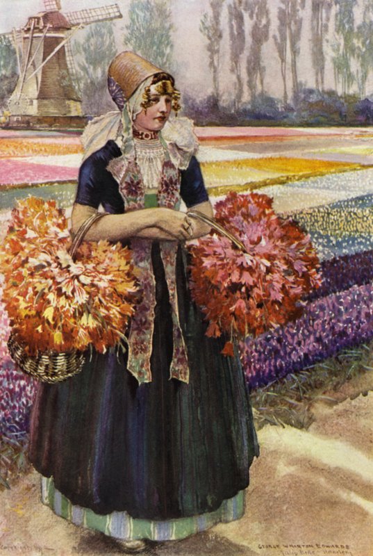 Pole tulipanów (kolor lito) autorstwa George Wharton Edwards