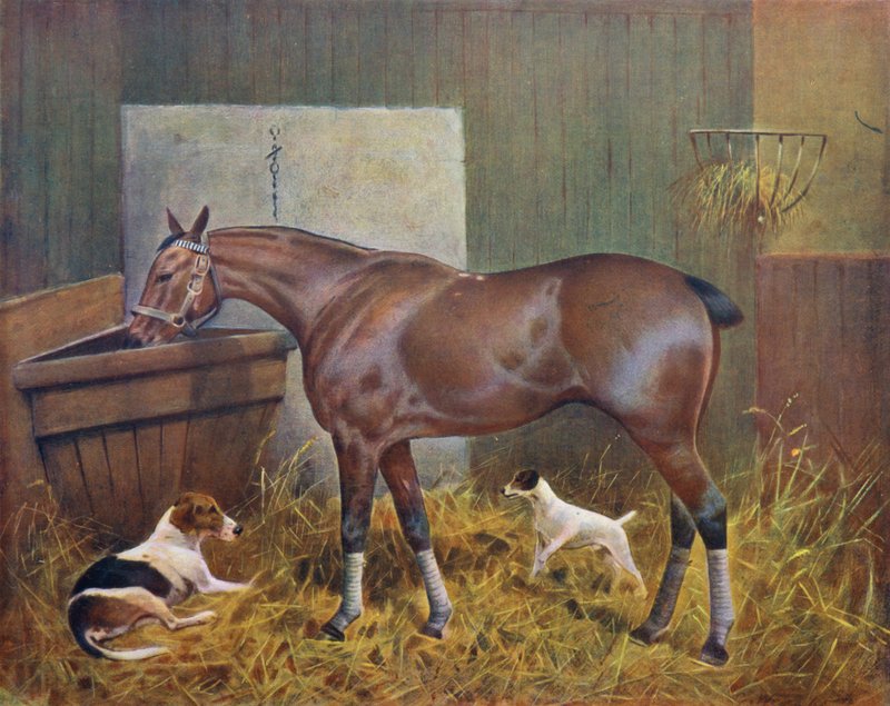 W stajni autorstwa George Wright