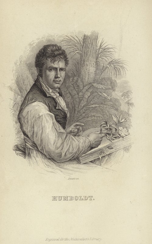 Aleksander von Humboldt autorstwa German School